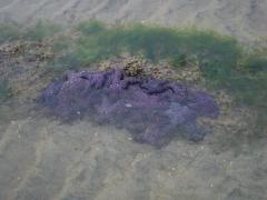 Tuesday July 12, 2011 10:29 - 100_1096 (2).JPG